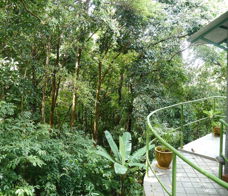 Ambong Ambong Rainforest Retreat