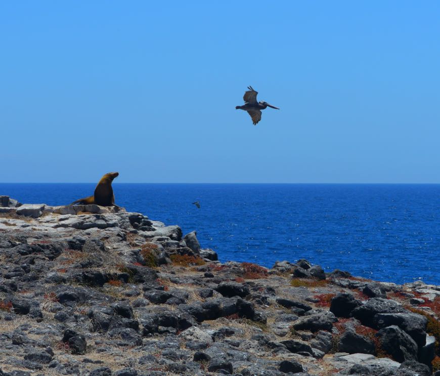 Finch Bay Eco Hotel, Galapagos
